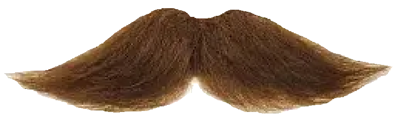 Mustache Preview